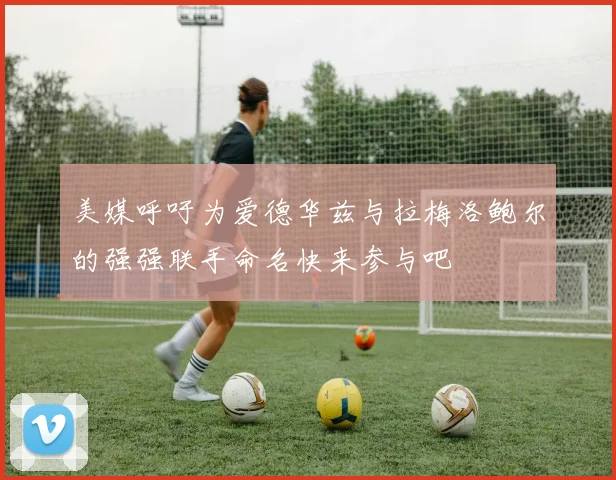 美媒呼吁为爱德华兹与拉梅洛鲍尔的强强联手命名快来参与吧